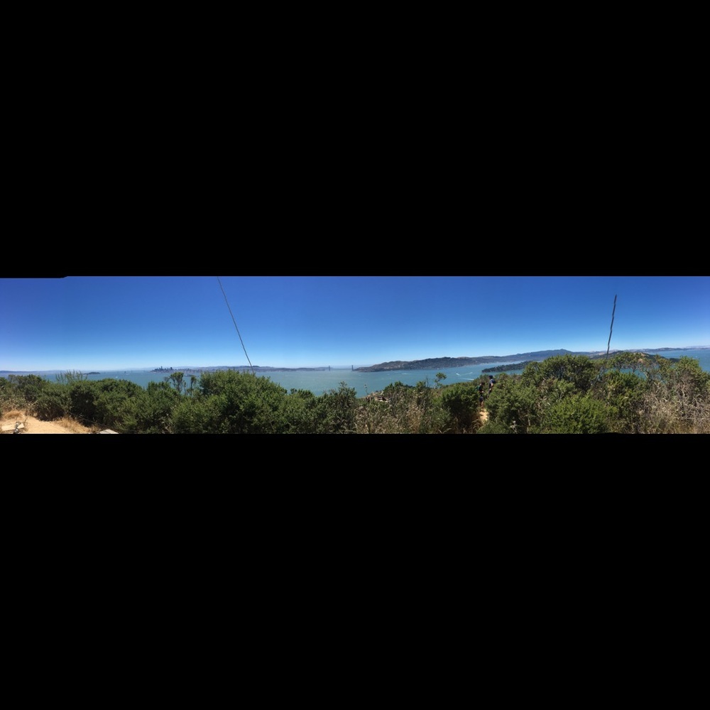 Meet your Posher, Audrey